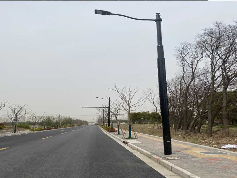 新田县上海综合杆 太阳能路灯工程